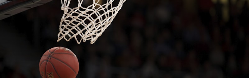 洛杉矶湖人队紫金色标志